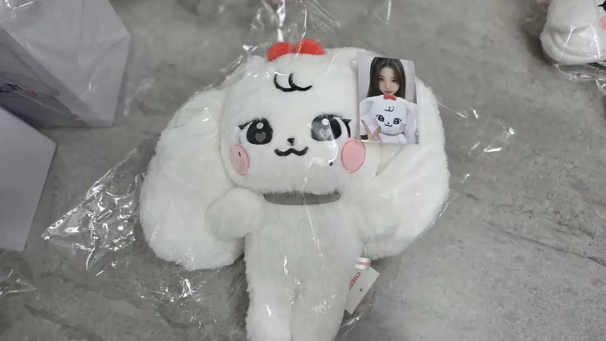 IVE レイ minive 2025 韓国ポップアップ限定 斜め掛け バッグ IVE レイ minive 2025 韓国ポップアップ限定 斜め掛け バッグ